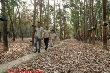 Kon Tum : Tập huấn nghiệp vụ bảo vệ nông trường cao su